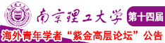 日逼网战南京理工大学第十四届海外青年学者紫金论坛诚邀海内外英才！